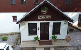 Iwenica